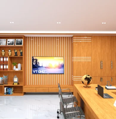 Professore-Dr.Masuma-Habib-Office-Room